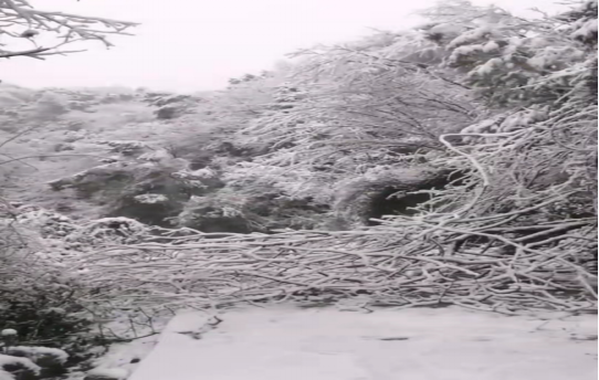 戰(zhàn)暴雪、保供電！湖南發(fā)展鳥兒巢公司應(yīng)對(duì)極端天氣緊急搶修失電故障